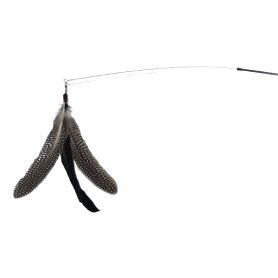 Roterende veer (met/zonder telescoopstang)