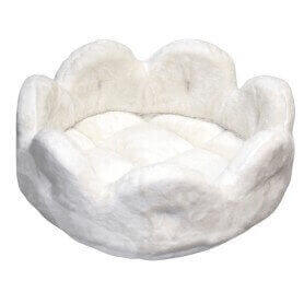 Blume medium Blume medium