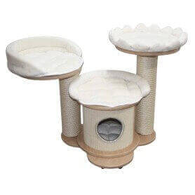 baby träd Paradise baby träd Paradise