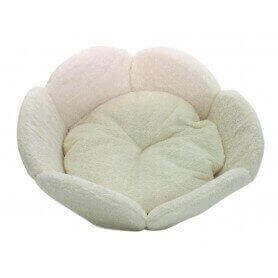 Flower with pillow Blume