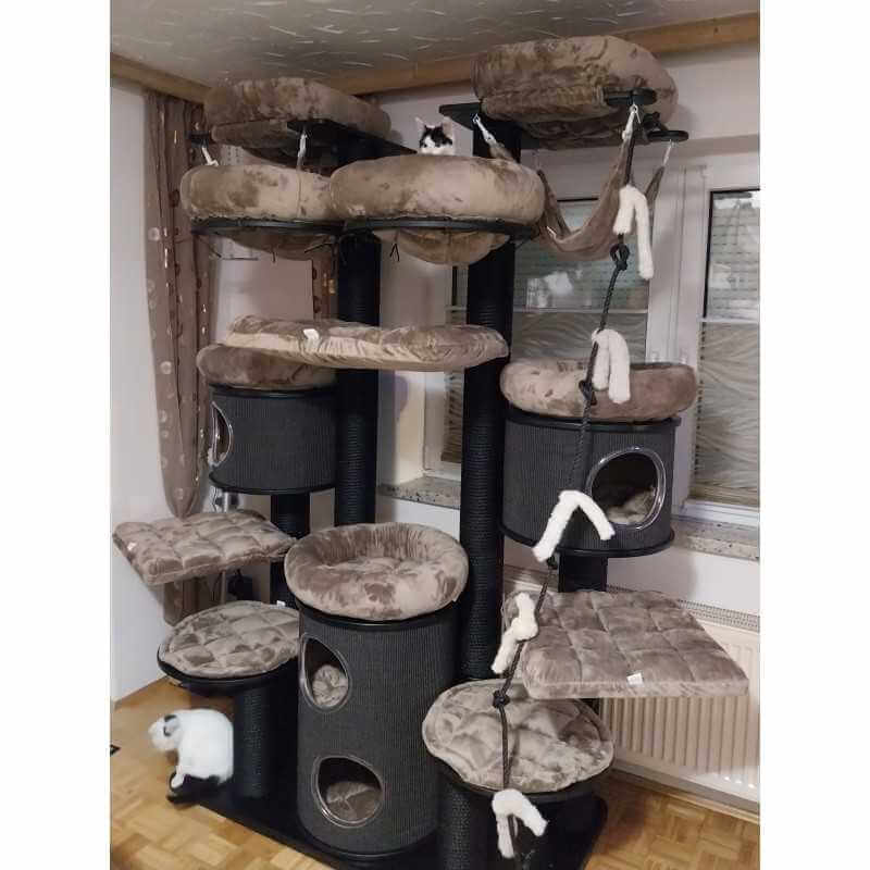 Katzenkratzbaum Farbe Textil Microfaser naturweiss Farbe Holz und Sisal  Standard naturfarben