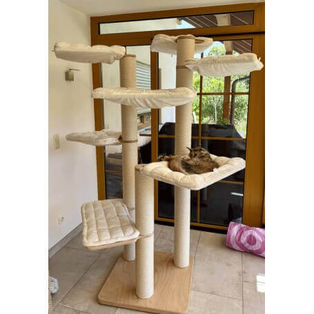 Katzenkratzbaum Farbe Textil Microfaser naturweiss Farbe Holz und Sisal  Standard naturfarben