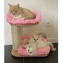 Baby Scratching Post R35