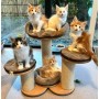 Katzenkratzbaum