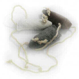Mouse maus
